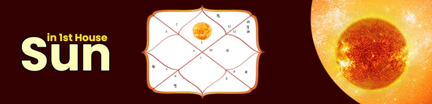 64590f8de74d9.webp
